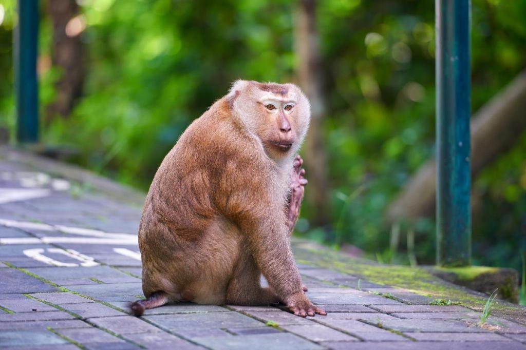 فندق B2 بوكيت Phuket المظهر الخارجي الصورة